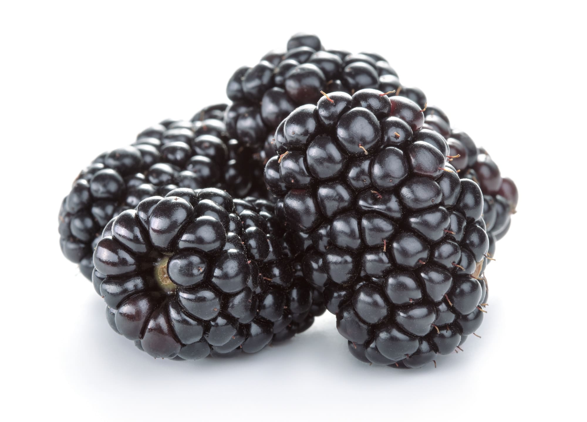 heap of fresh blackberry
